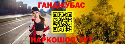 стаф Кинель